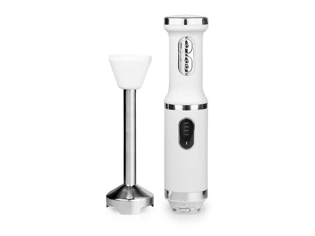 IMMERSION BLENDER - 1