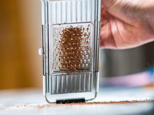 GRATER LAME - 2